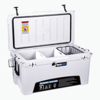 BigDog Hard Sided Cooler – Multiple Sizes